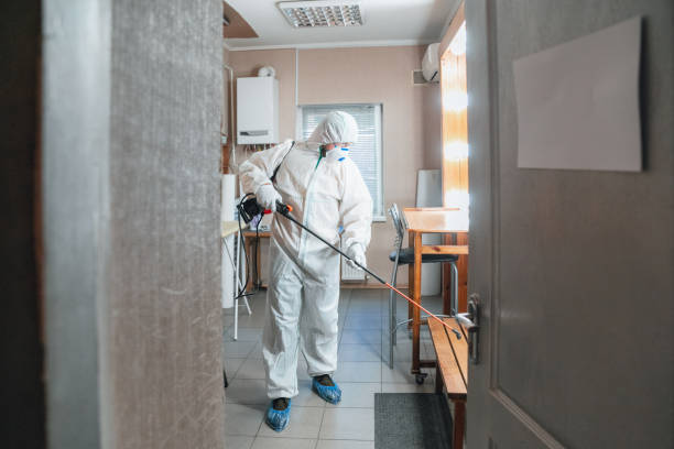 Best Environmental Consulting for Mold Prevention  in Paxton, IL